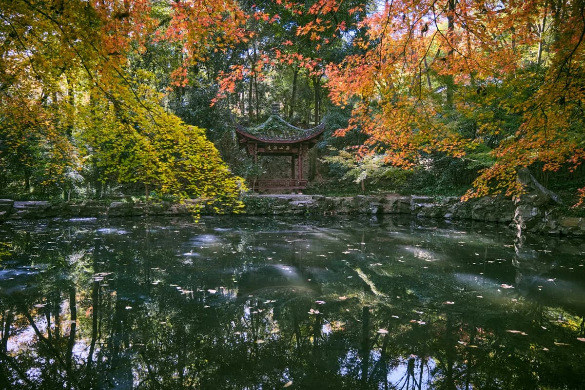 Red and gold maples around a still pond before a Chinese garden pavilion, fallen leaves floating on dark water — November 2026's Ji-Hai Earth Pig month, when the Fire Horse year's colour settles into winter water