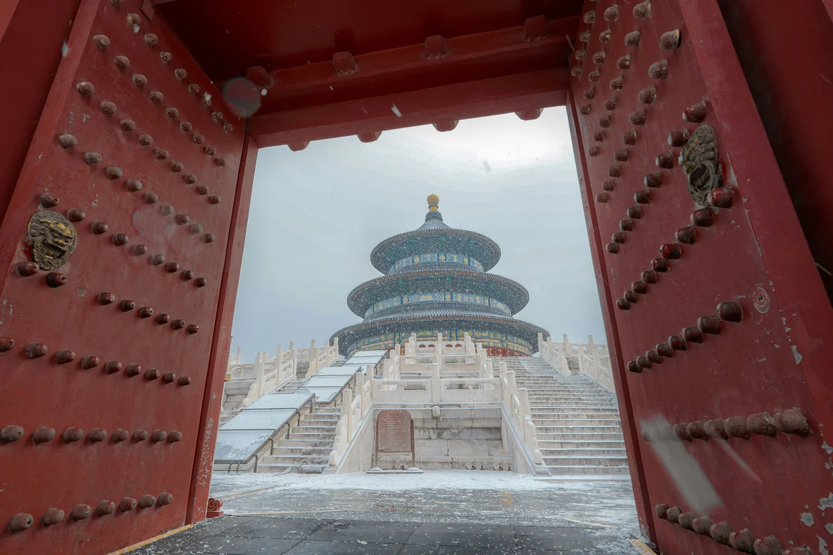 The 12 Earthly Branches: The Hidden Code Behind Your Chinese Zodiac Sign