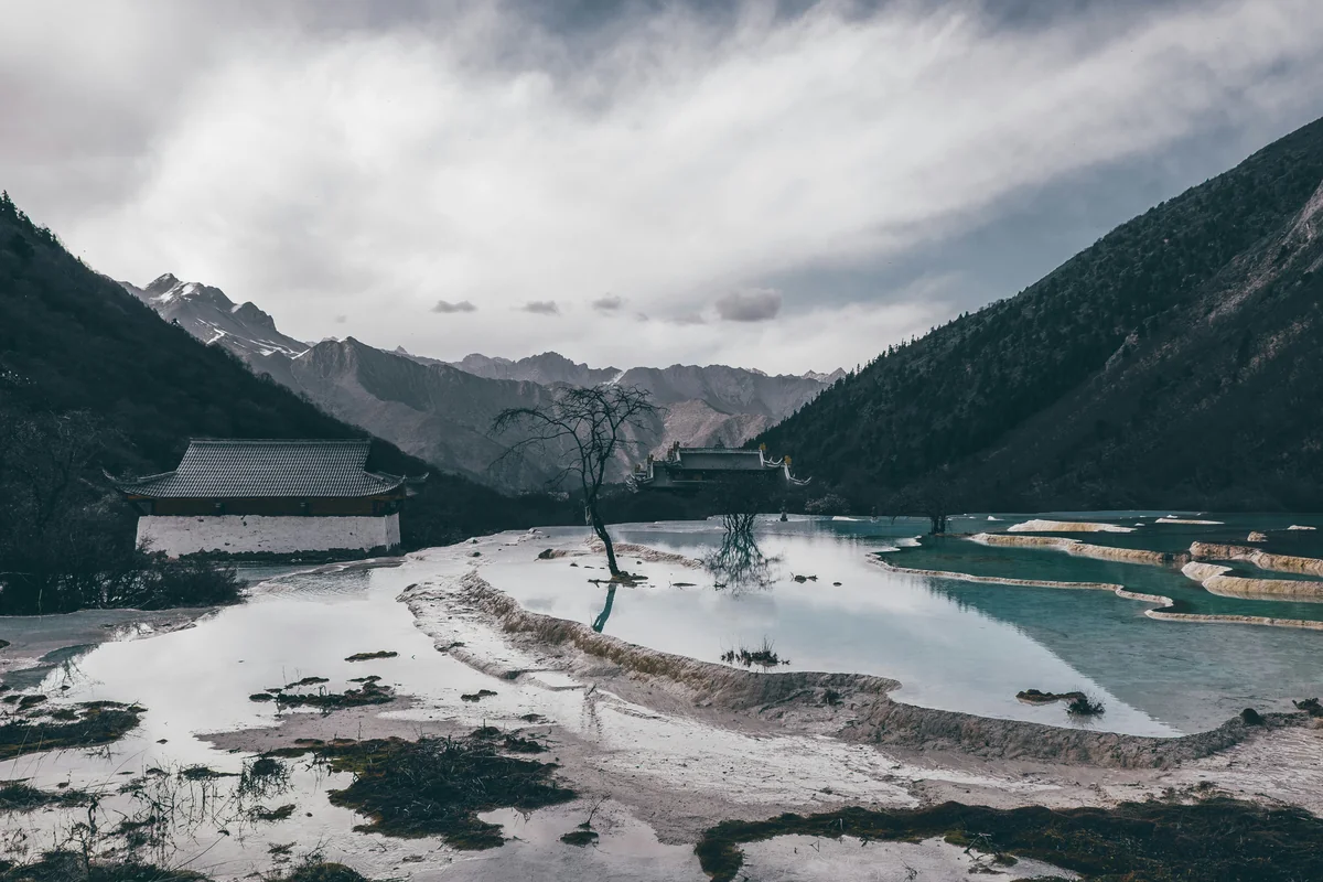 Traditional Chinese astrology illustration for How to Improve Your Bazi Destiny with Feng Shui: A Step-by-Step Guide